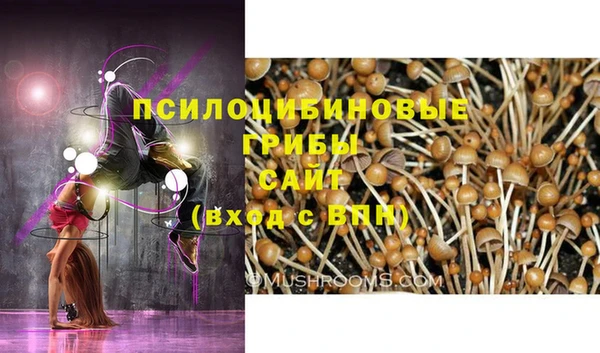 ALPHA PVP Киреевск