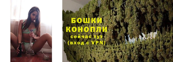 ALPHA PVP Киреевск