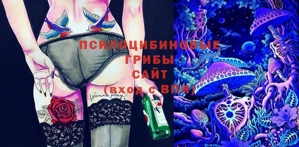 ALPHA PVP Киреевск