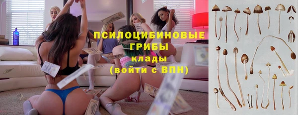 гидропоника Киренск